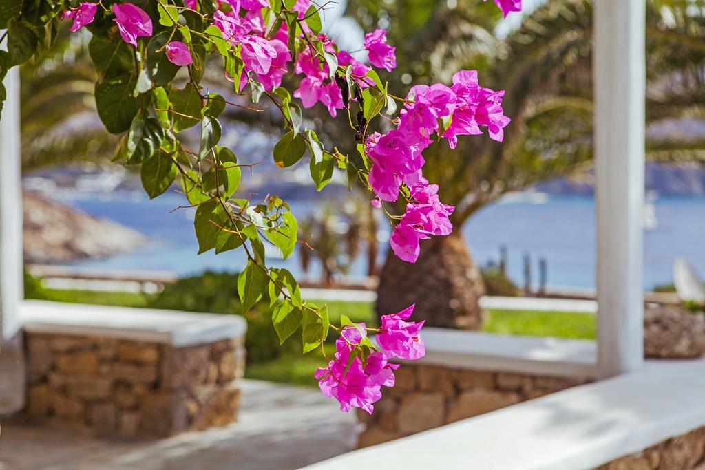Sea View Residence Mykonos Town Exterior photo